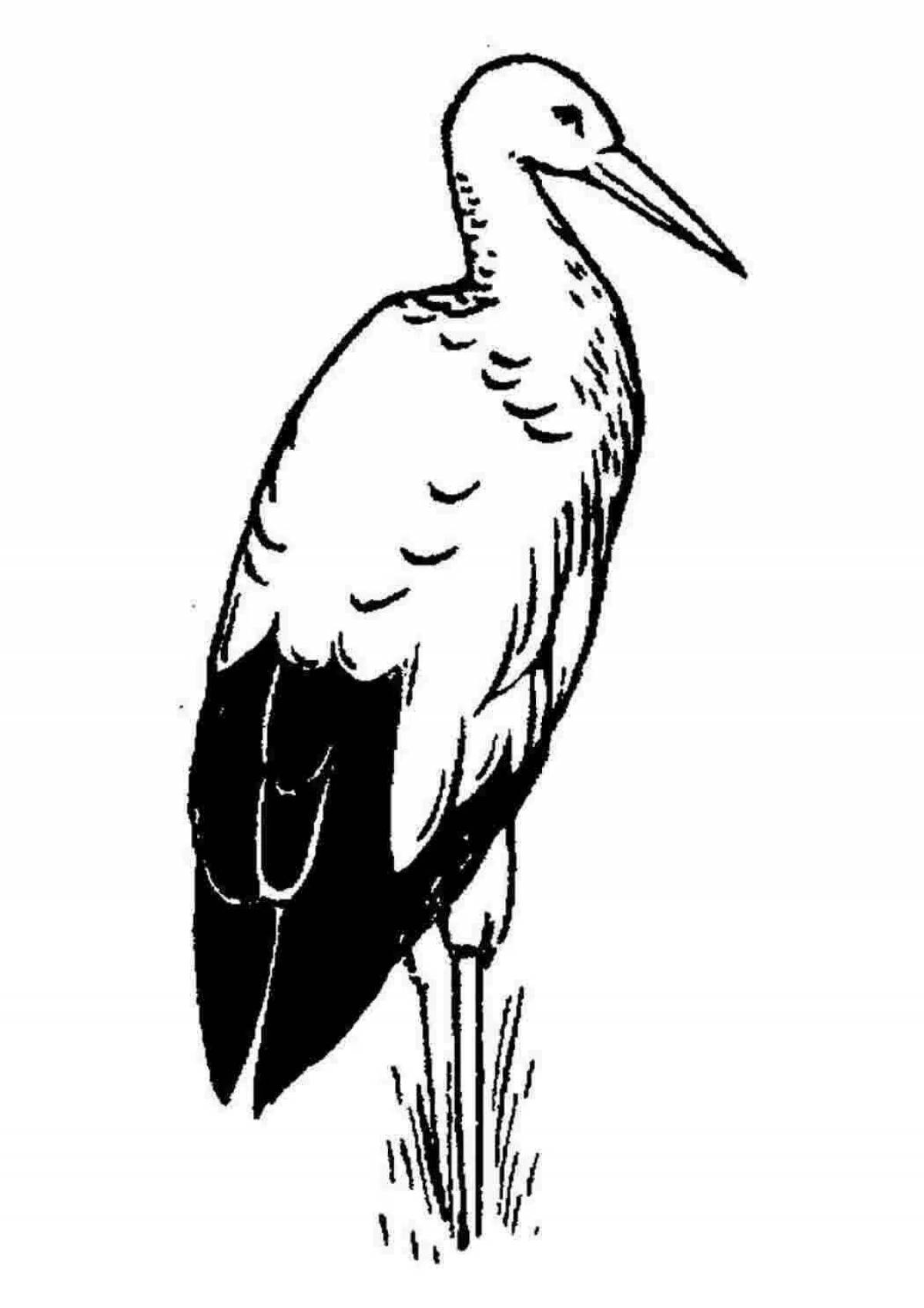 Bright black stork coloring pages for kids