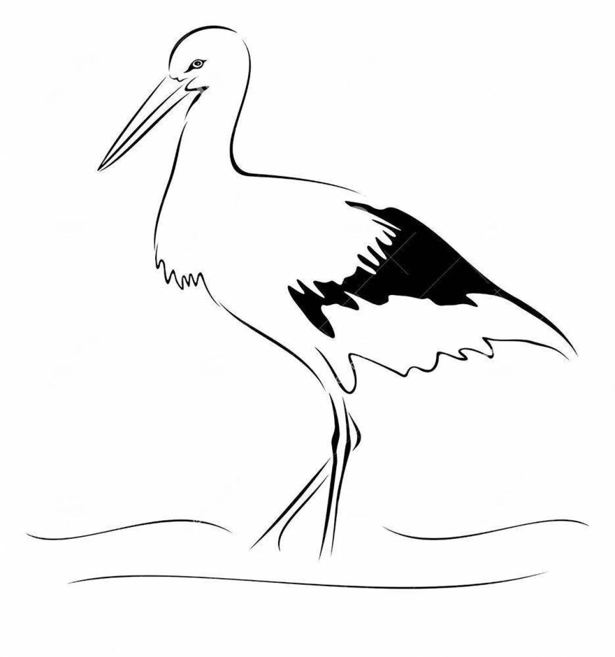 A fun black stork coloring book for kids