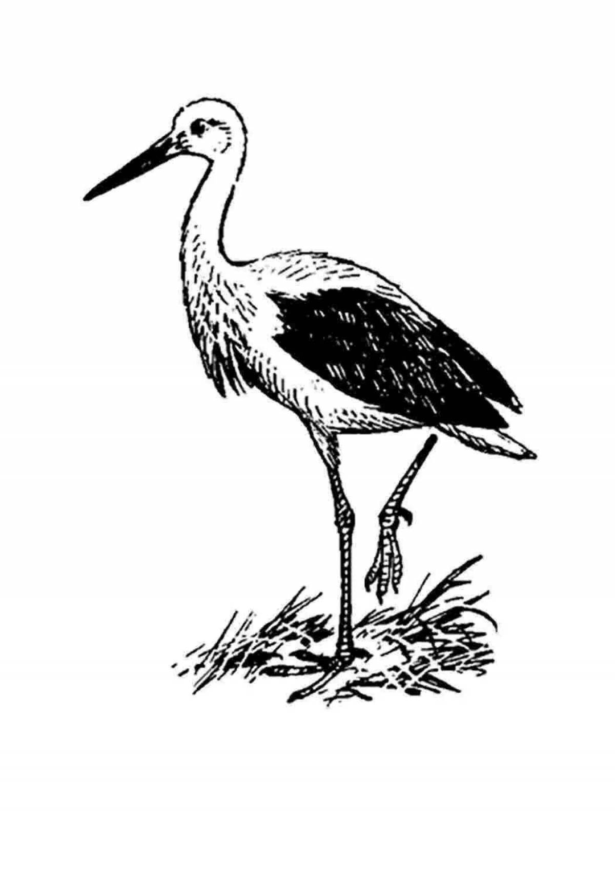 Fabulous black stork coloring page for kids
