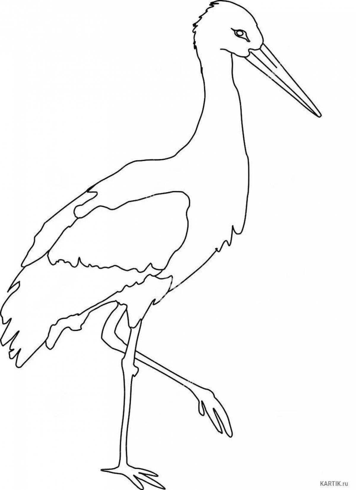 Gorgeous black stork coloring book for kids
