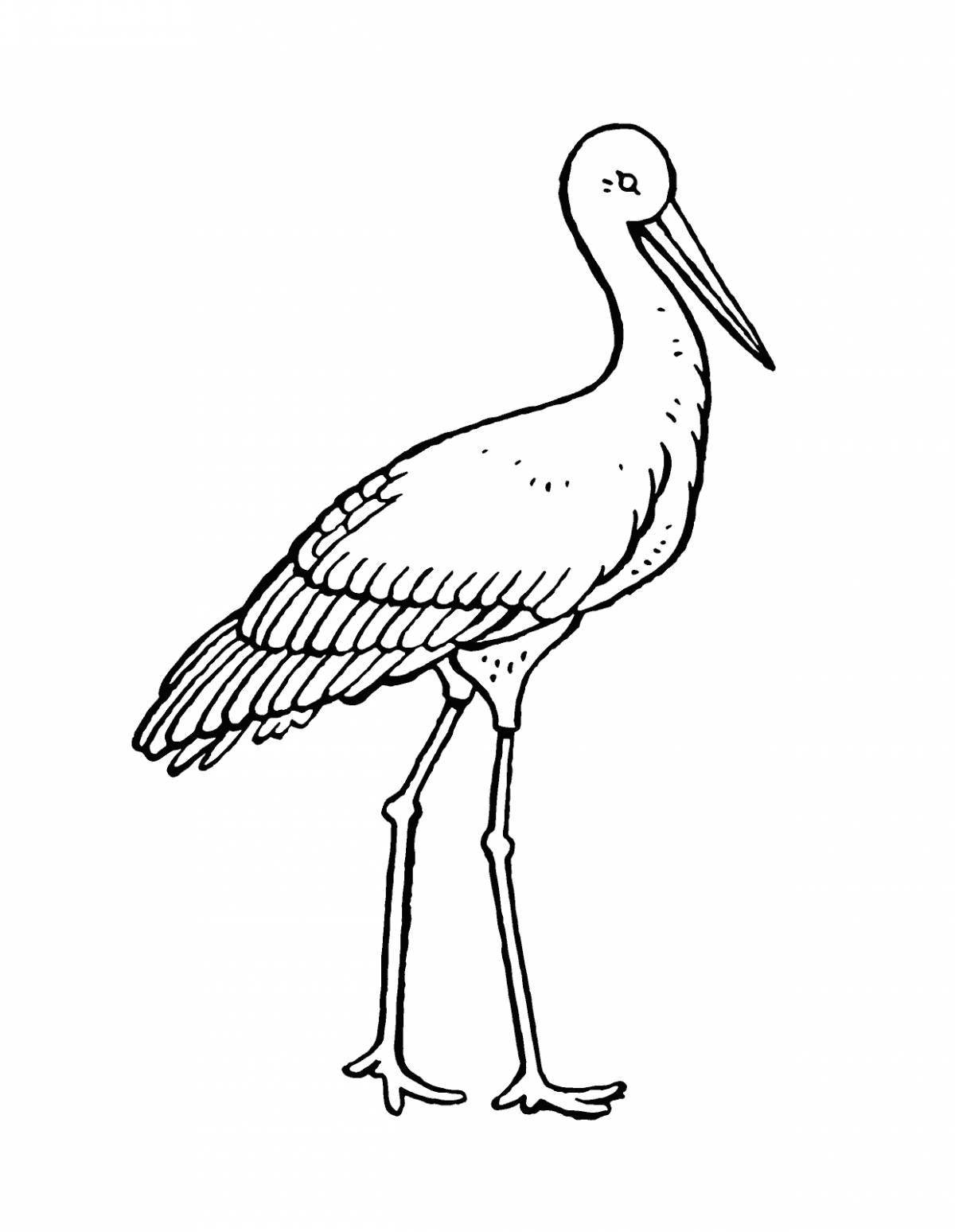 Adorable black stork coloring book for kids