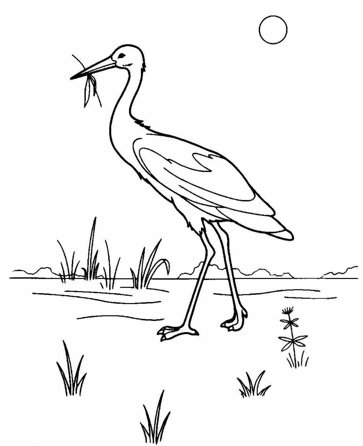 Delightful black stork coloring book for kids