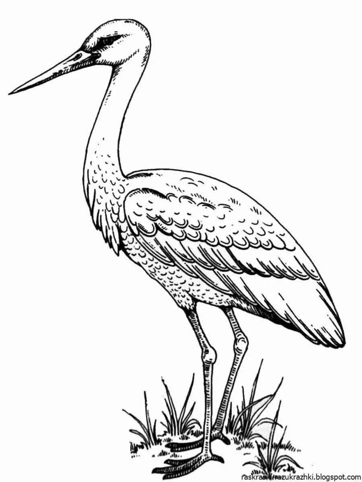 Cute black stork coloring pages for kids