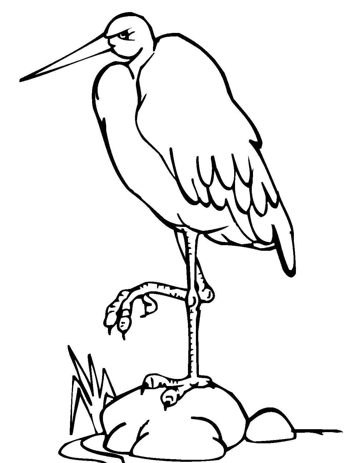 Unique black stork coloring book for kids