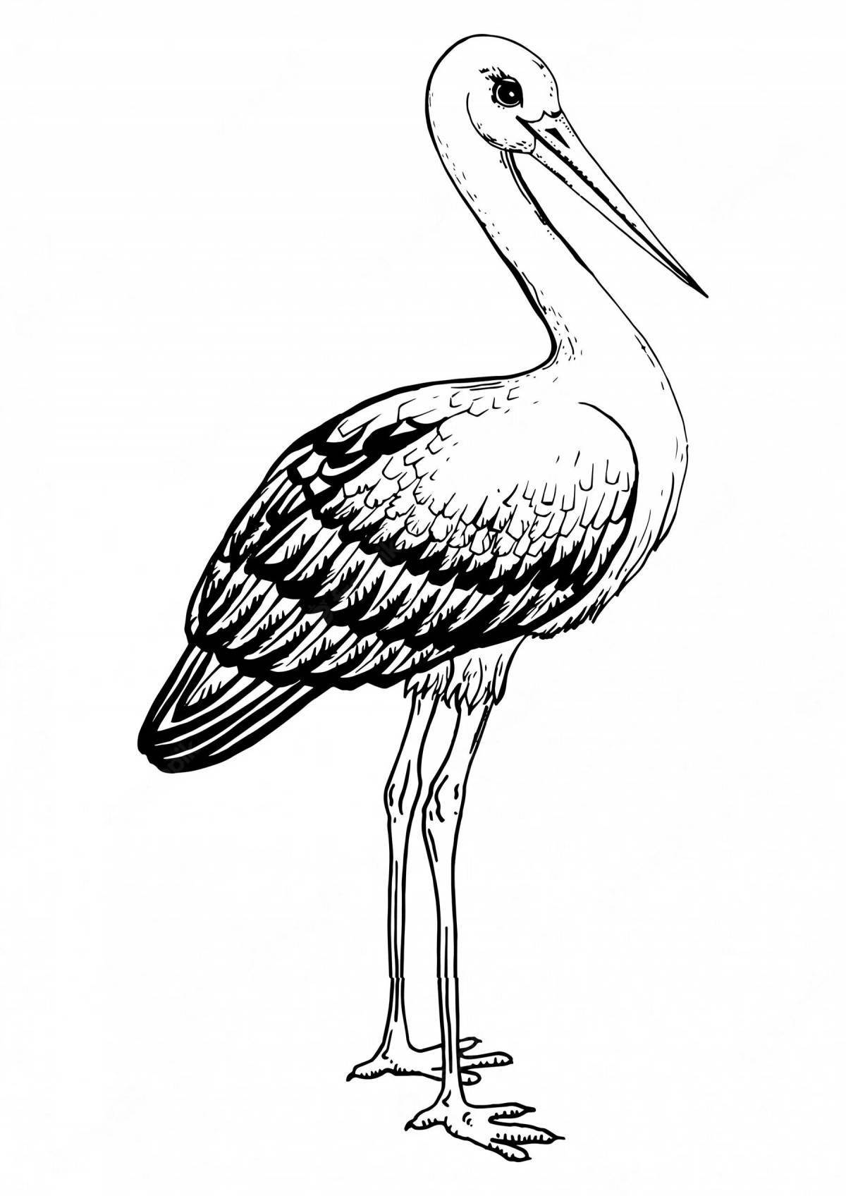 Creative black stork coloring book for kids