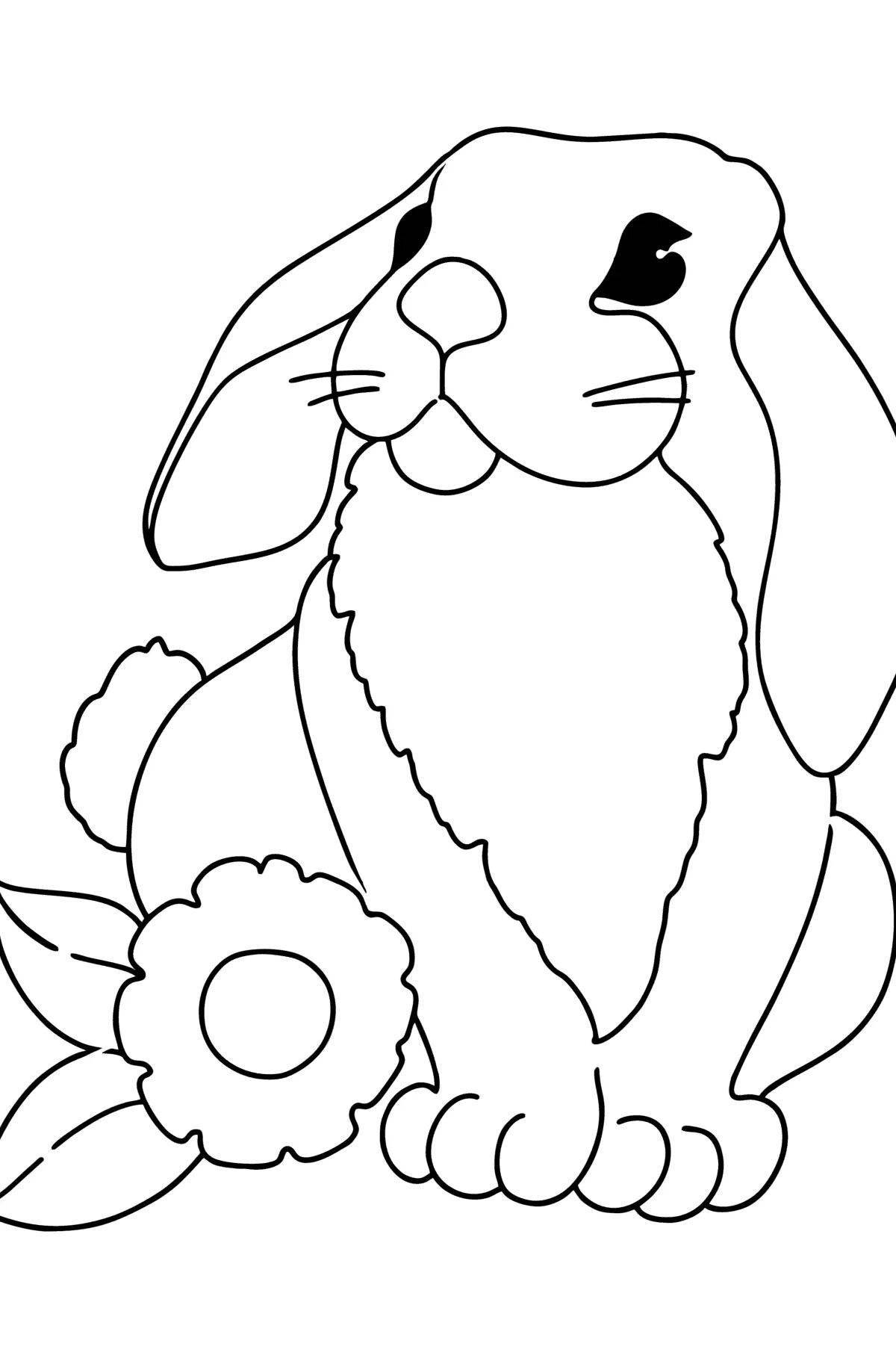 Exquisite rabbit coloring book for 2 year olds