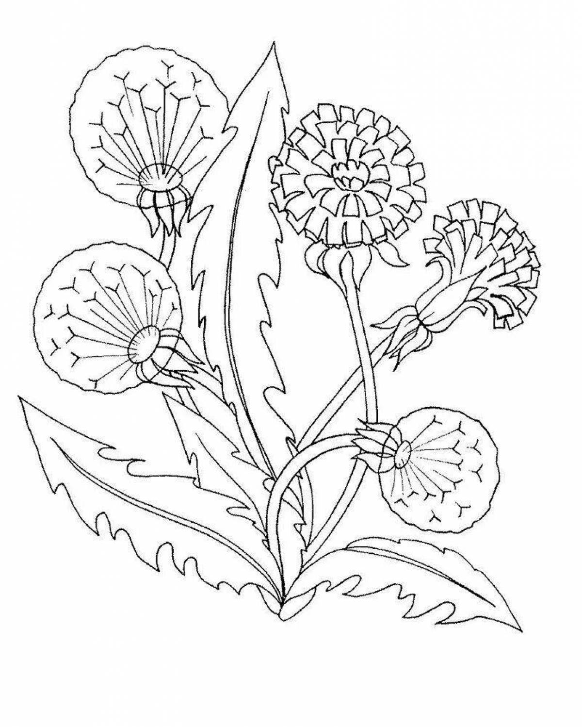 Elegant coloring of medicinal plants