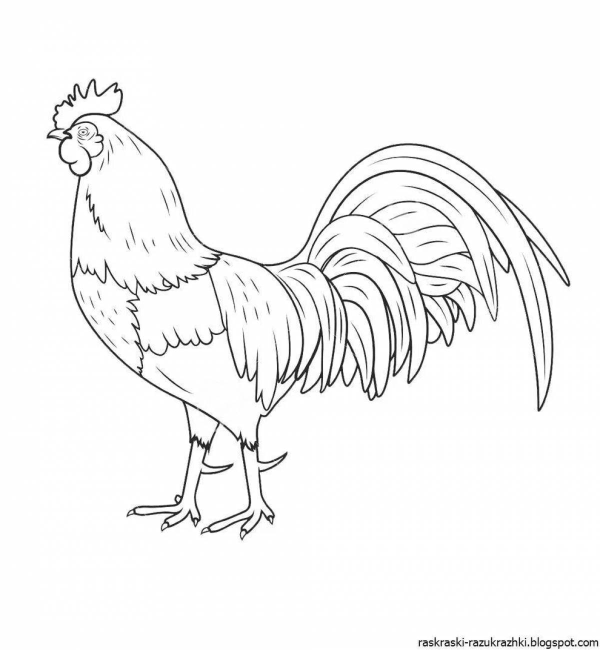 Attractive cockerel coloring book for kids