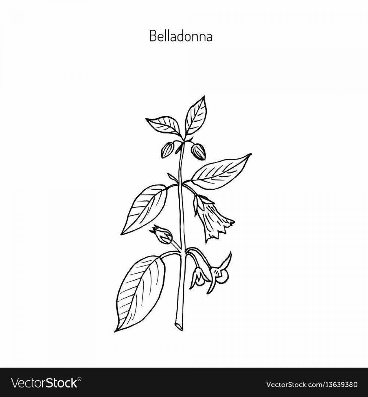 Coloring for bright poisonous plants for children