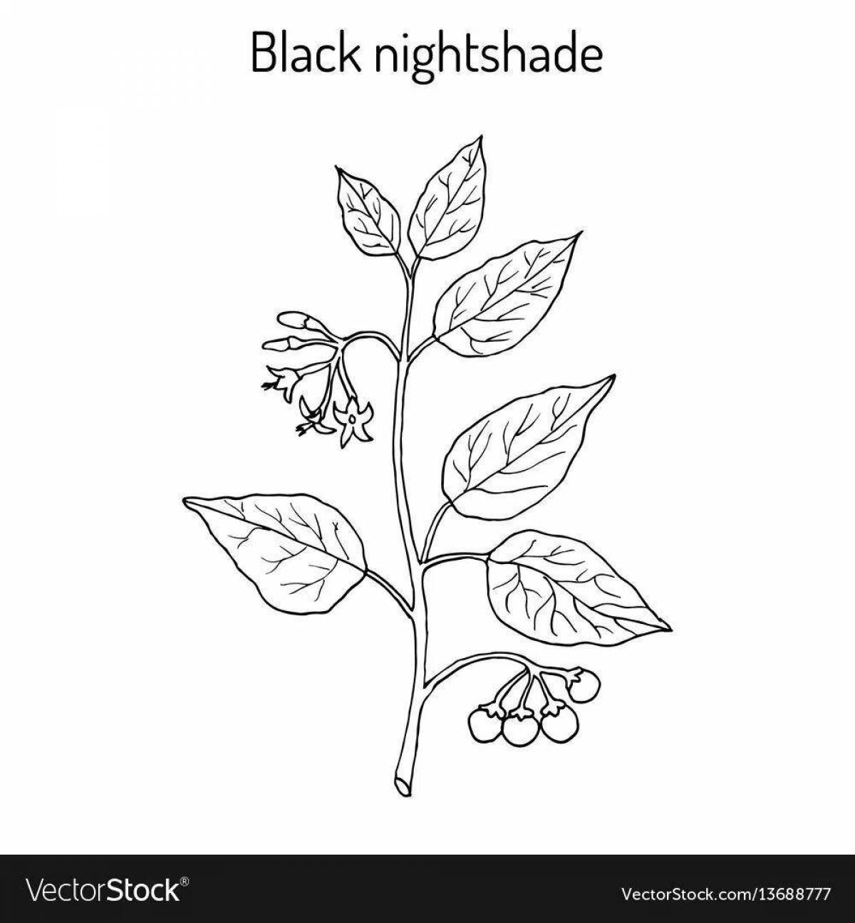 Funny poisonous plants coloring pages for kids