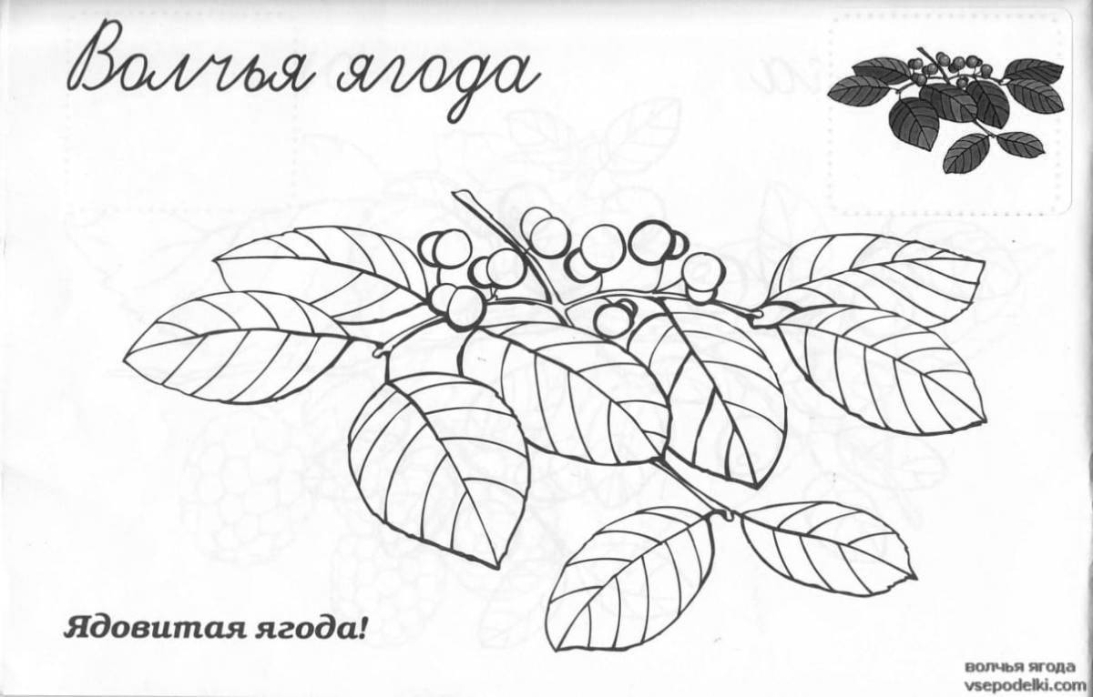 Gorgeous poisonous plants coloring pages for kids