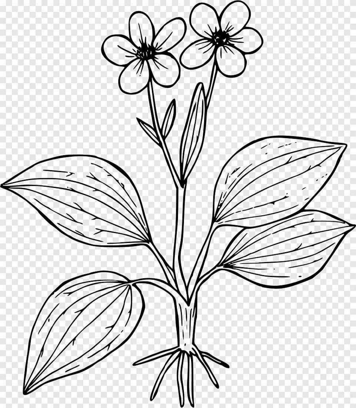 Awesome coloring pages of poisonous plants for kids
