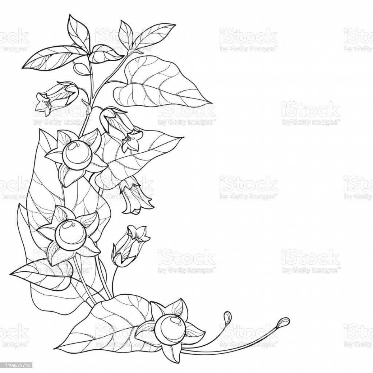 Exciting coloring pages of poisonous plants for kids