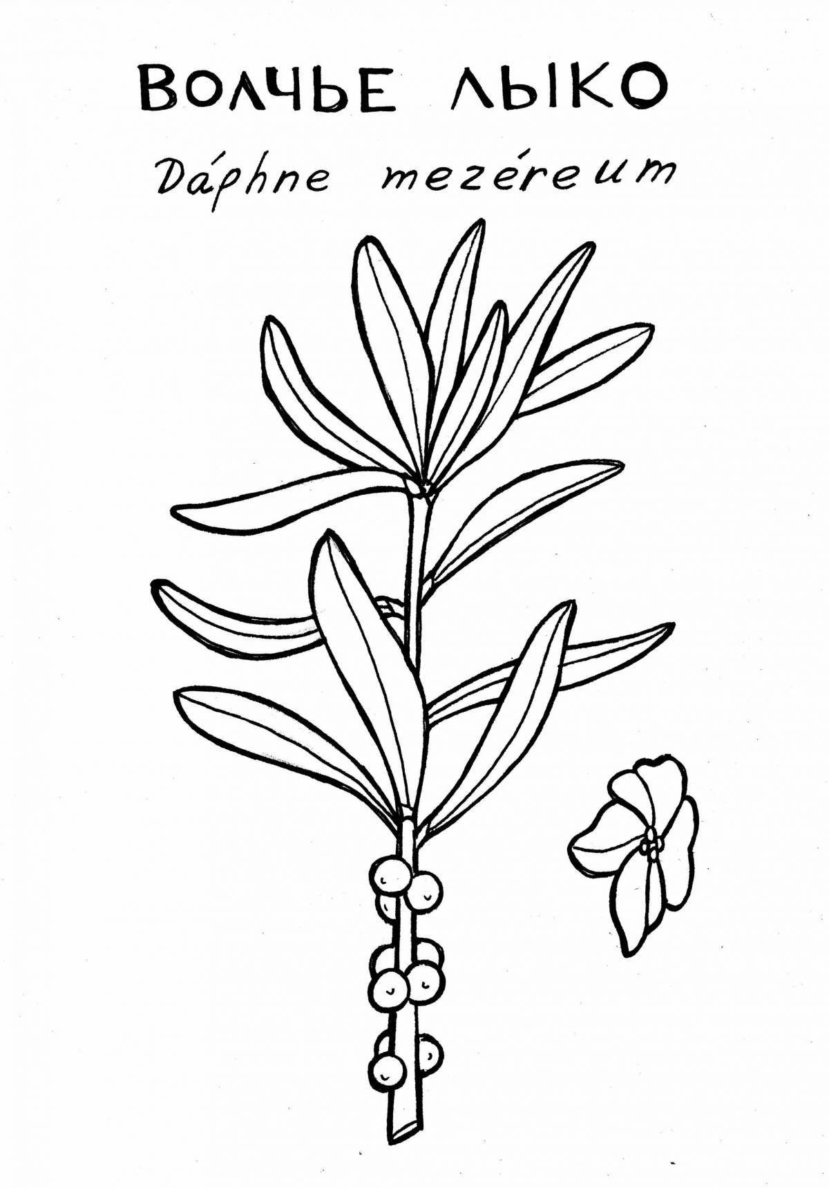 Adorable poisonous plants coloring book for kids