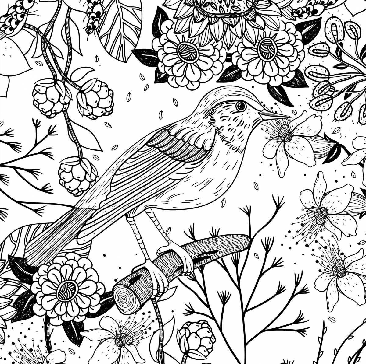 Amazing coloring book, beautiful nature for all adults