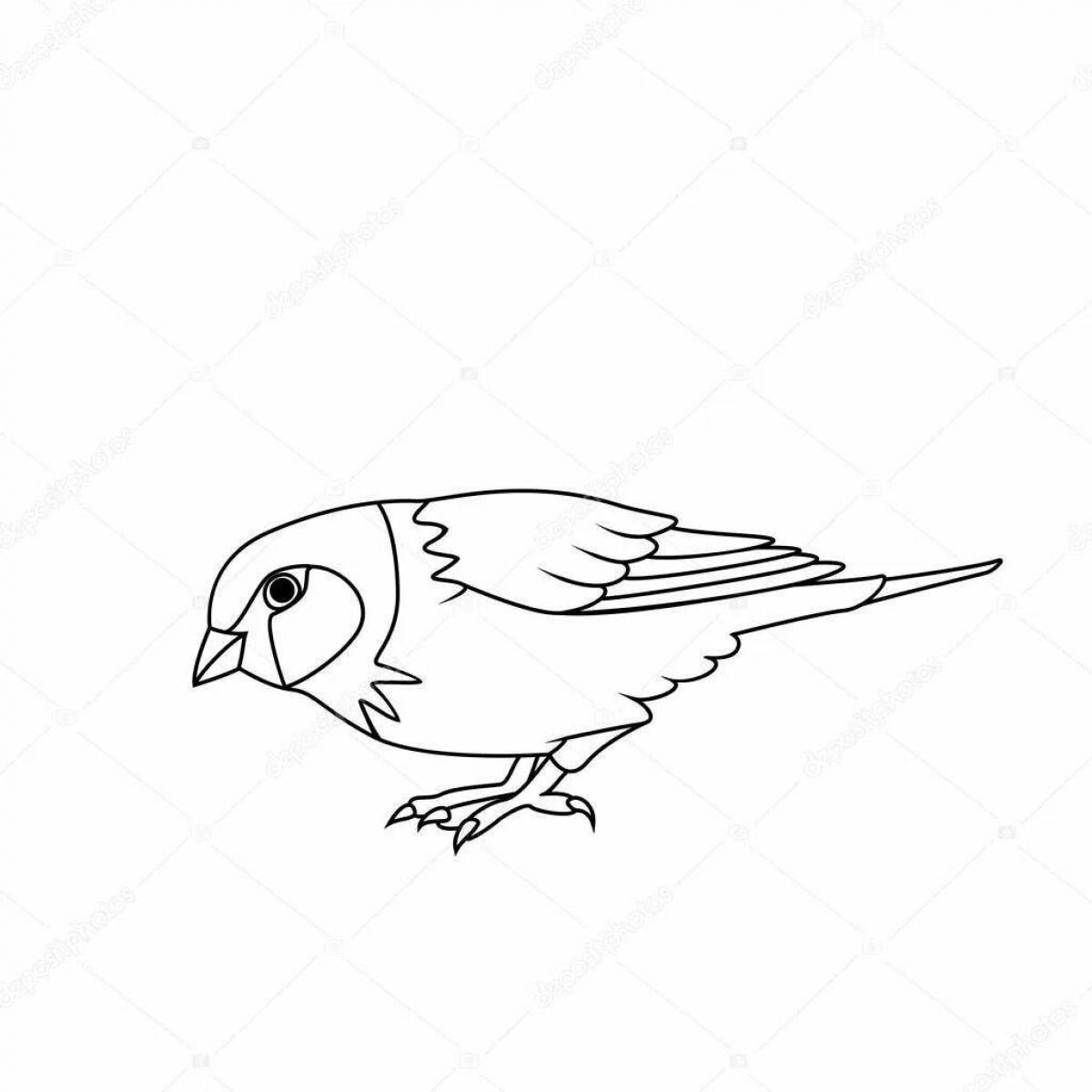 Coloring page playful parrot