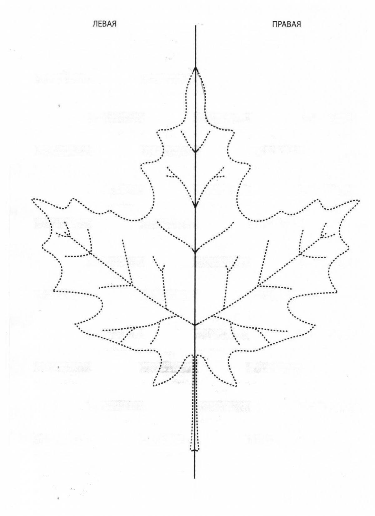 Bright two hands at the same time for children