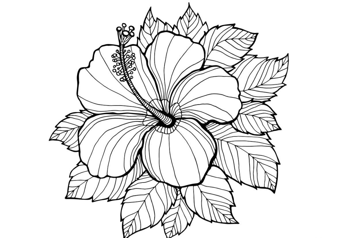 Sublime coloring page beautiful big flowers