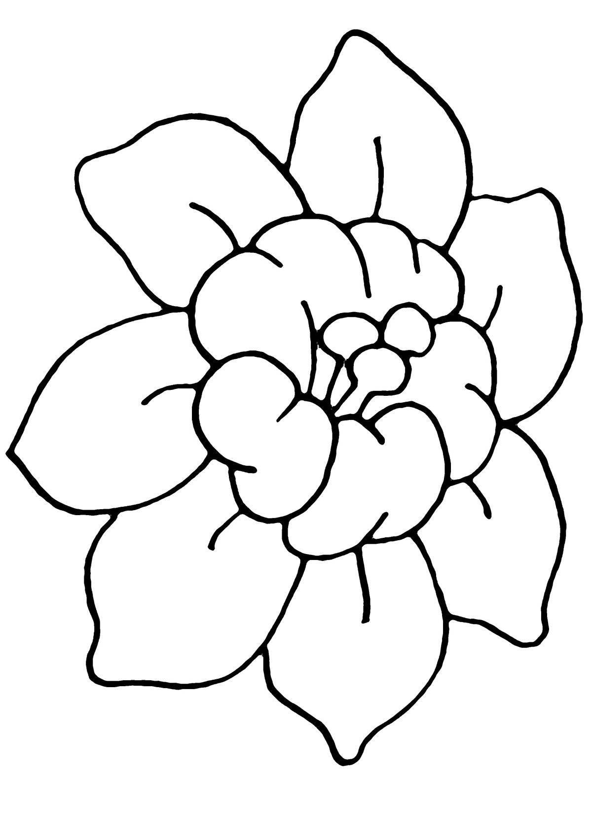 Serene coloring page beautiful big flowers