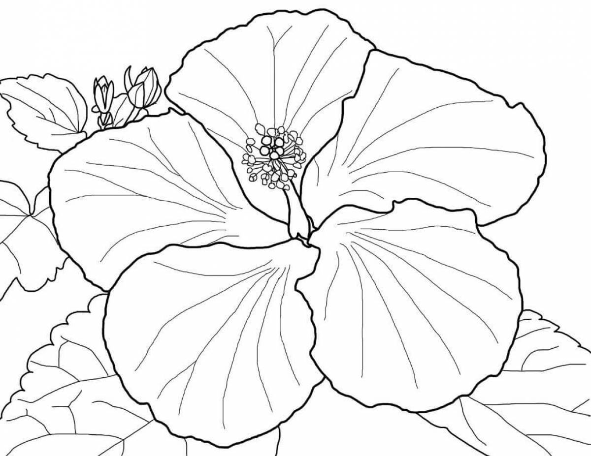 Coloring book poised beautiful big flowers