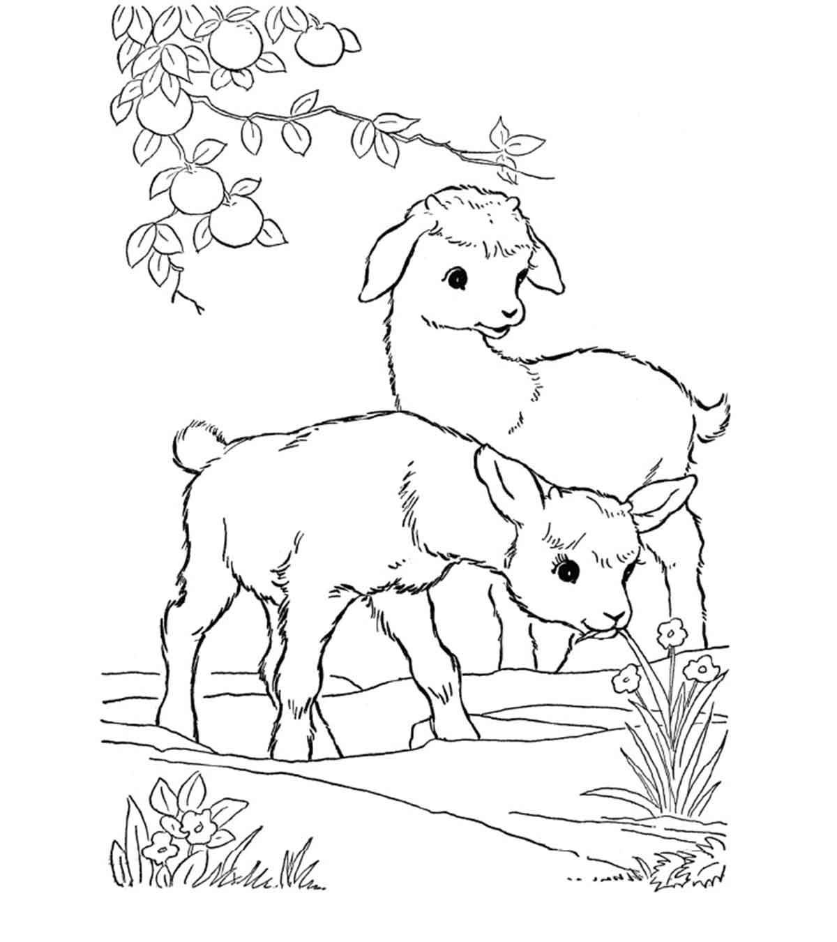 Fun coloring book pets for children 5-7 years old