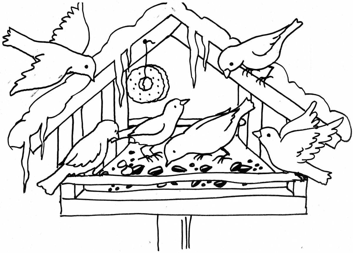 Coloring page playful bird feeder