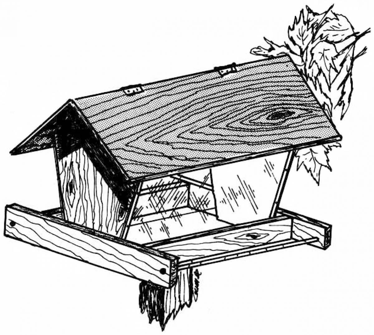 Tempting bird feeder coloring page
