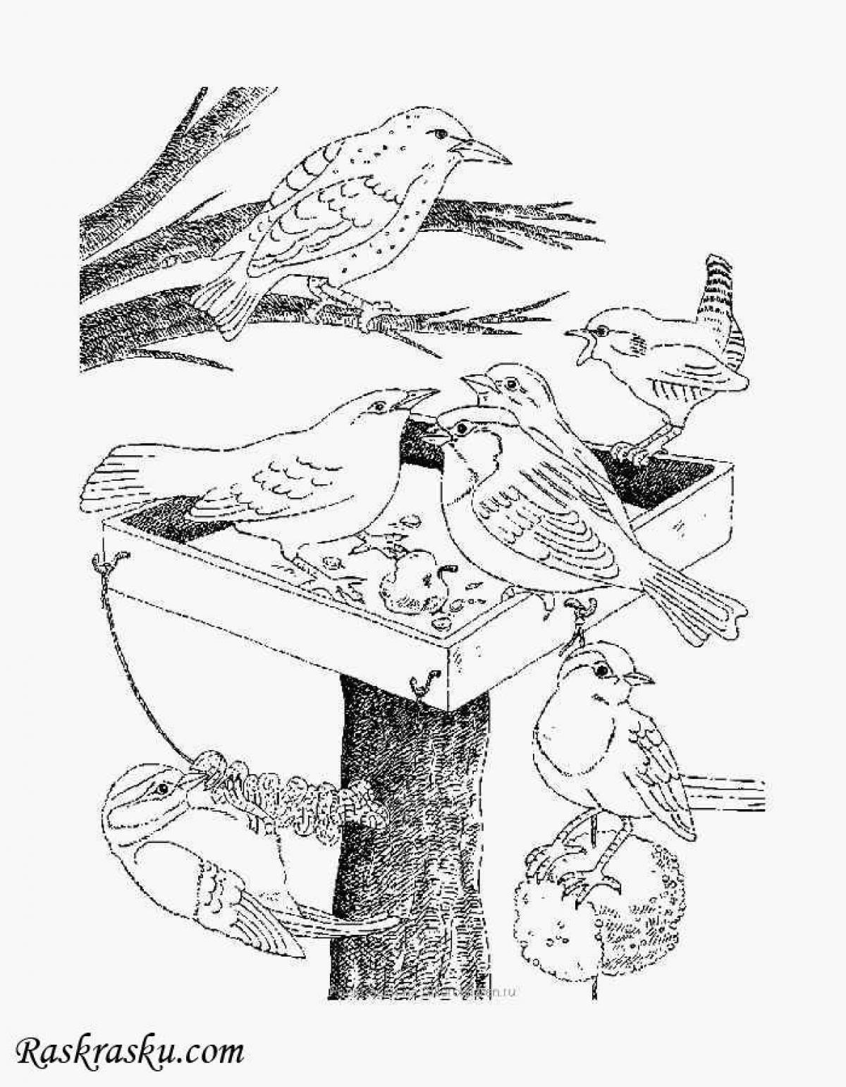 Majestic bird feeder coloring page