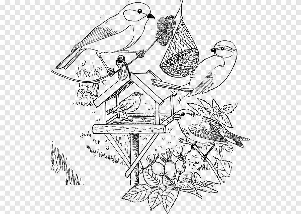 Coloring page spectacular bird feeder