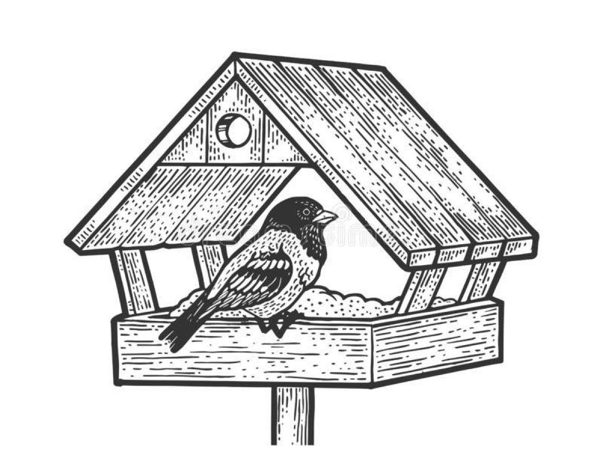 Flawless bird feeder coloring page