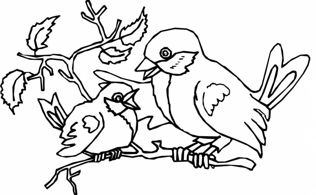 Adorable wintering birds coloring book for children 4-5 years old