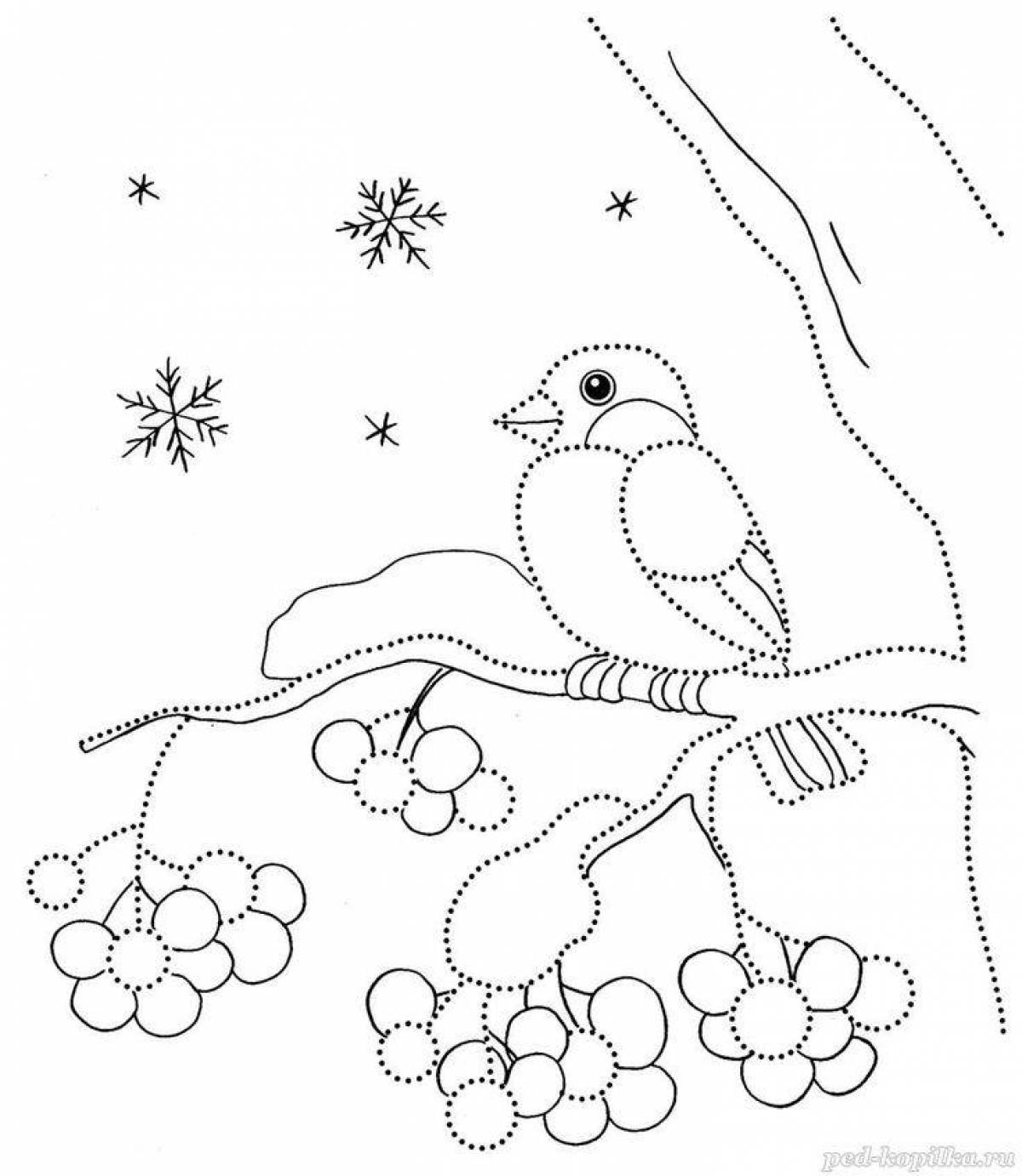 Coloring book cute wintering birds for children 4-5 years old