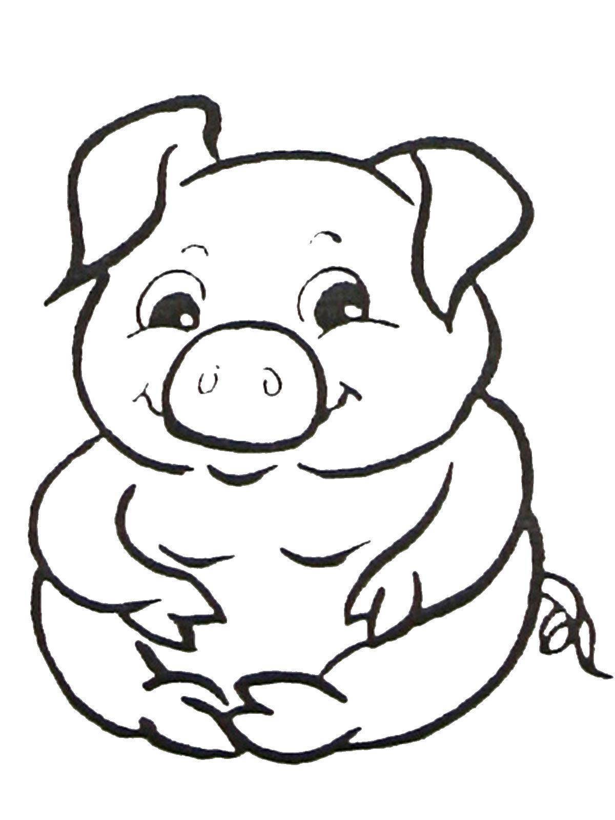 Fun coloring piglets