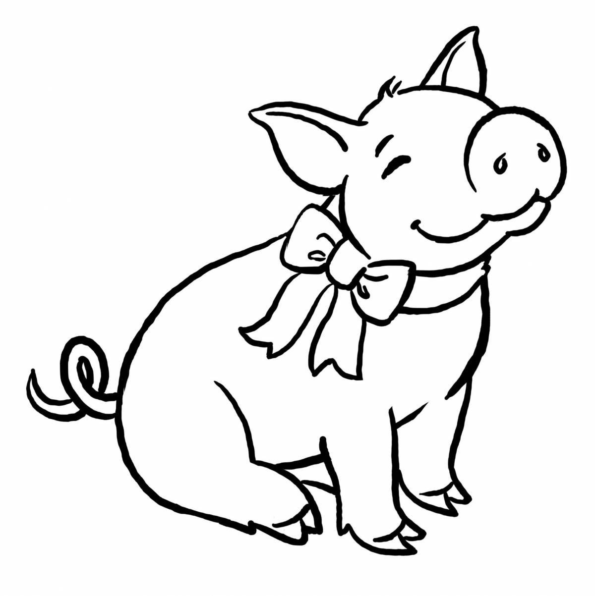 Funny pig coloring book