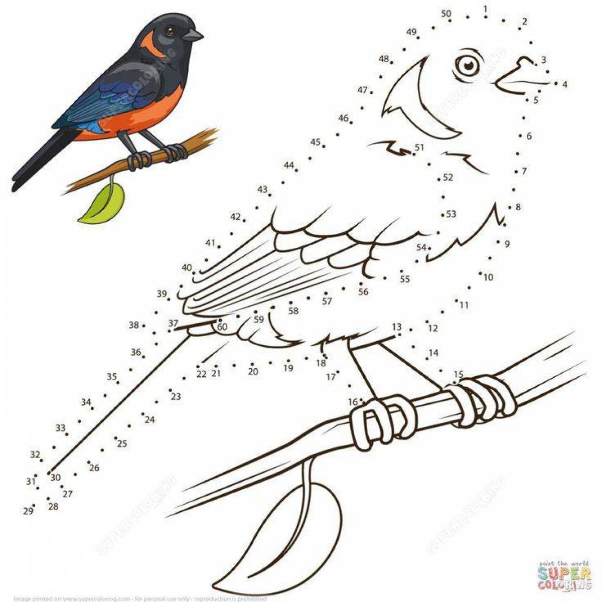 Праздничная раскраска зимующих птиц для детей 5-6 лет