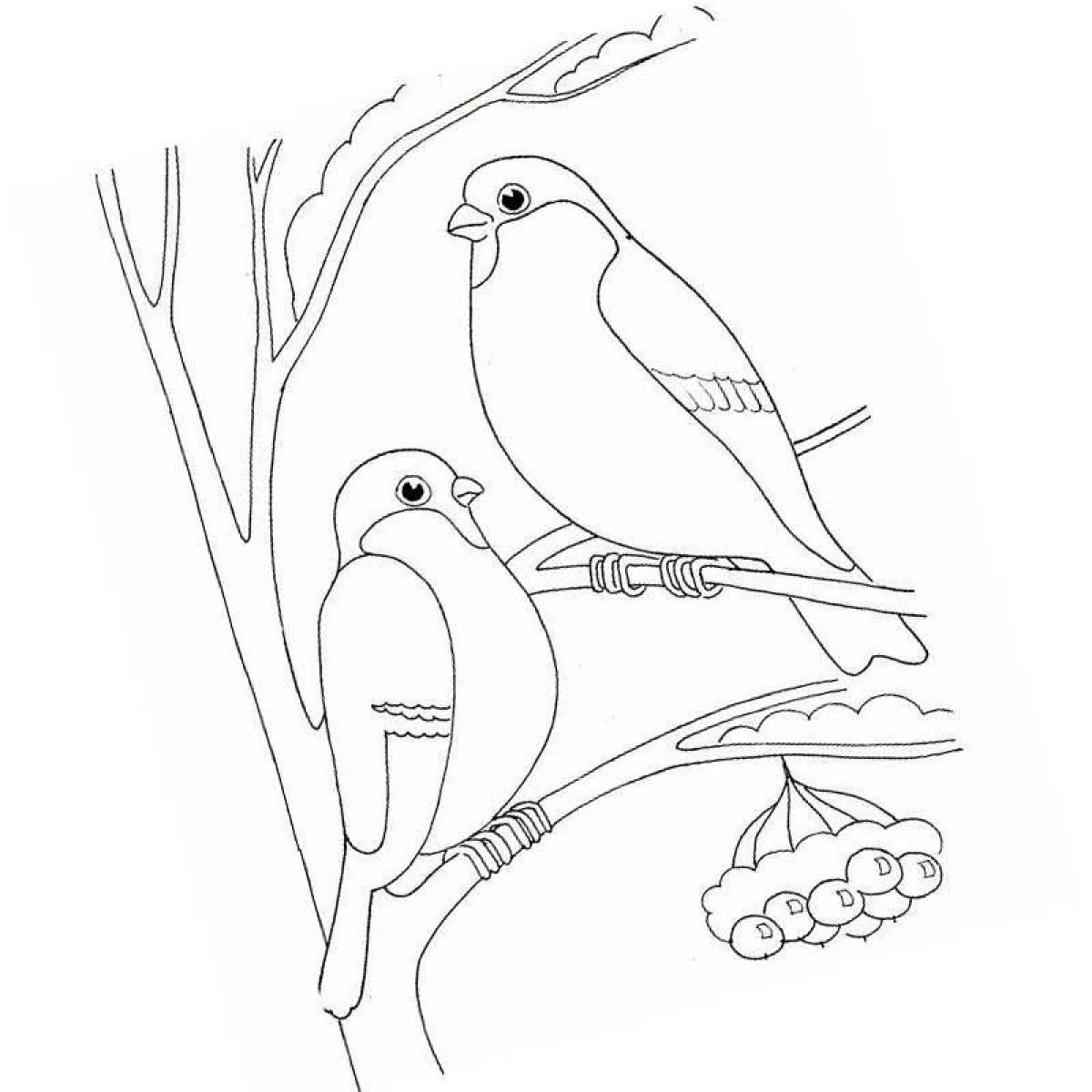 Coloring page energetic wintering birds for children 5-6 years old