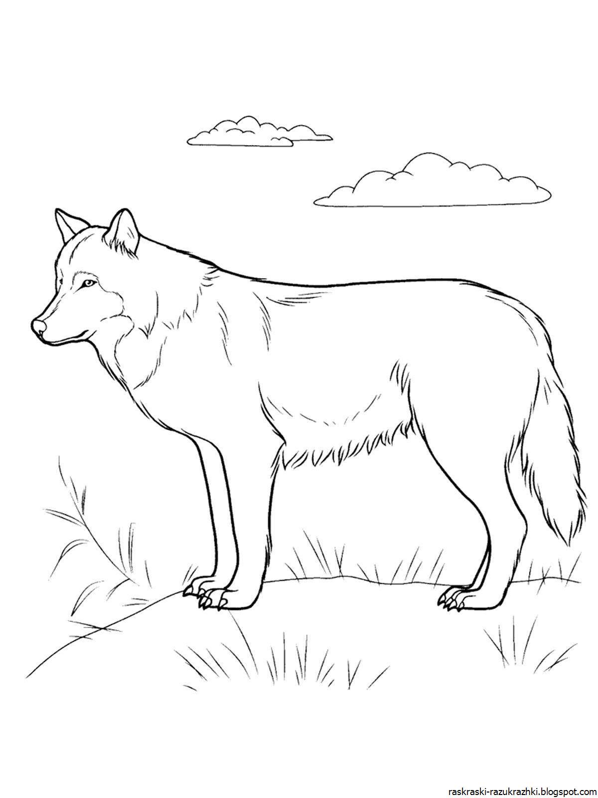 Awesome wild animal coloring page