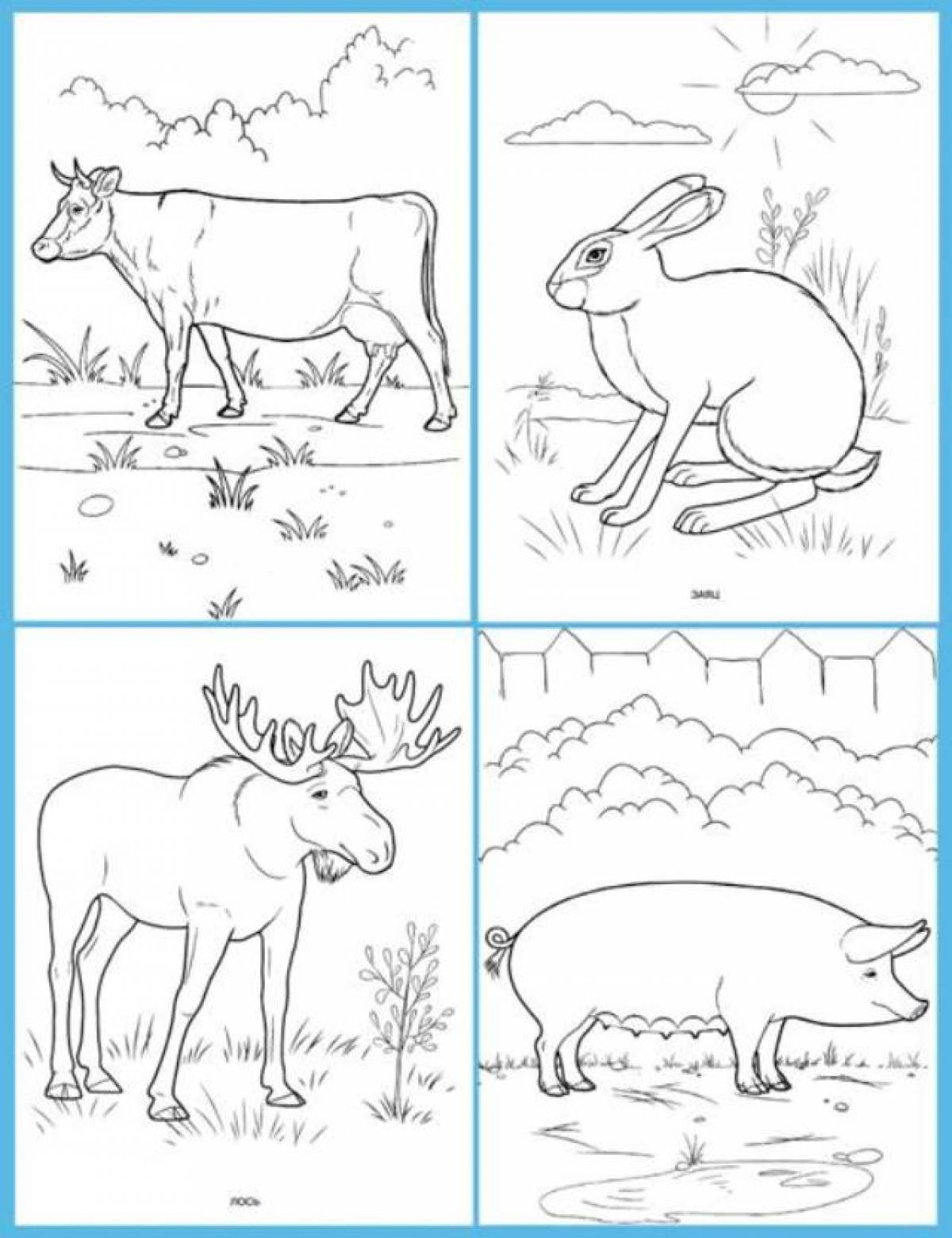 Креативная страница раскраски диких животных