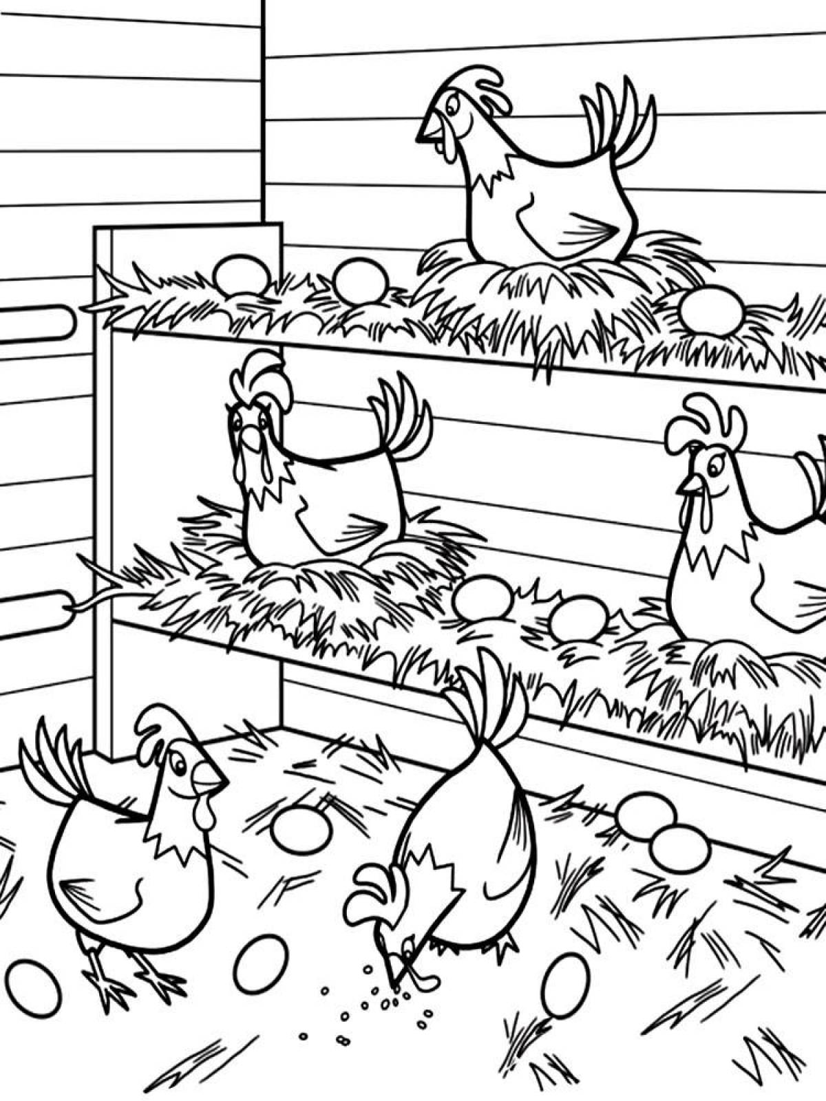 Cute poultry coloring page