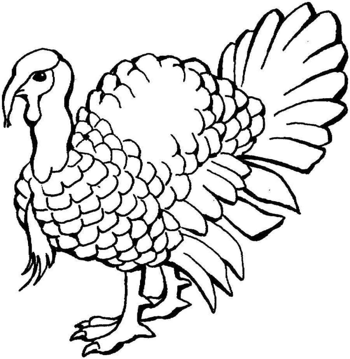 Funny poultry coloring page
