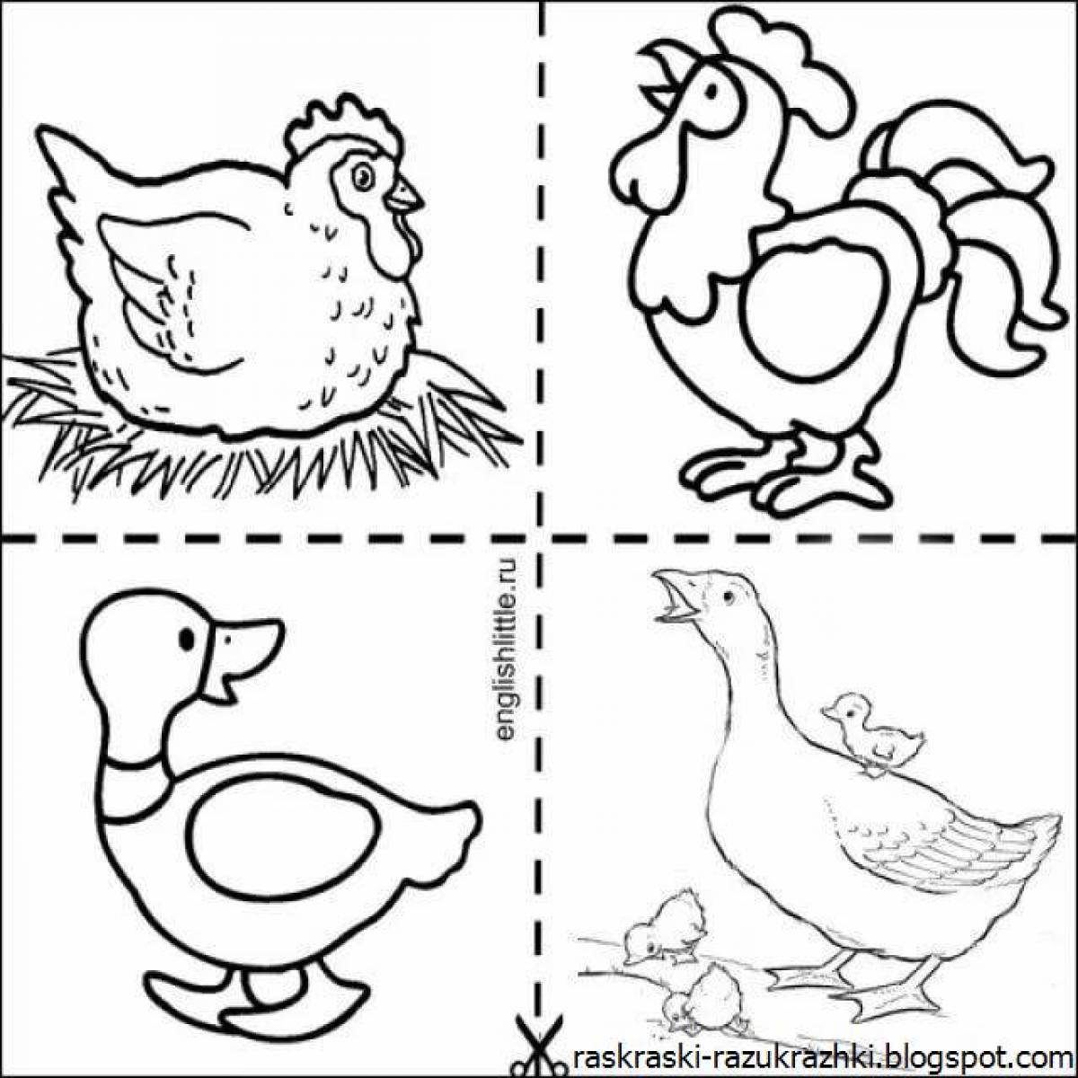Innovative poultry coloring page