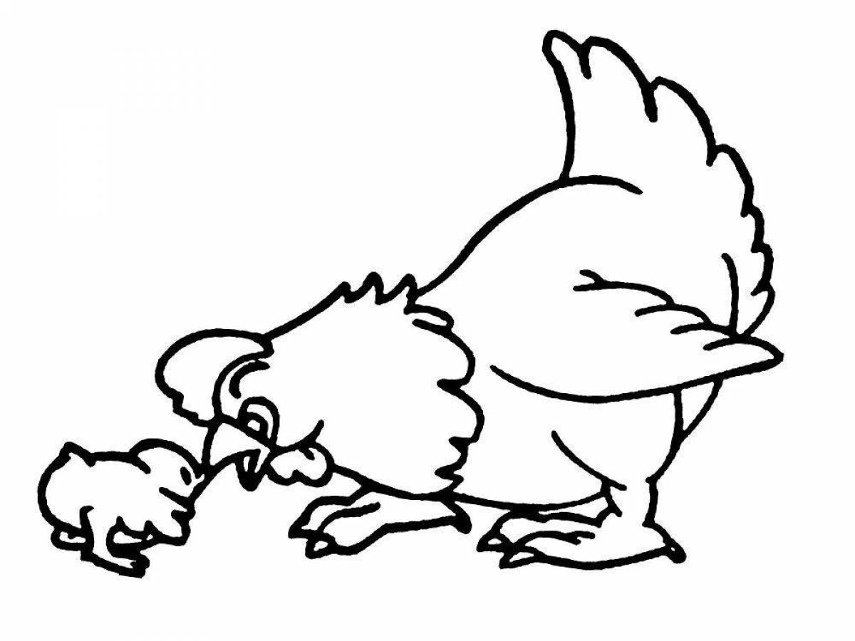 Coloring page amazing poultry