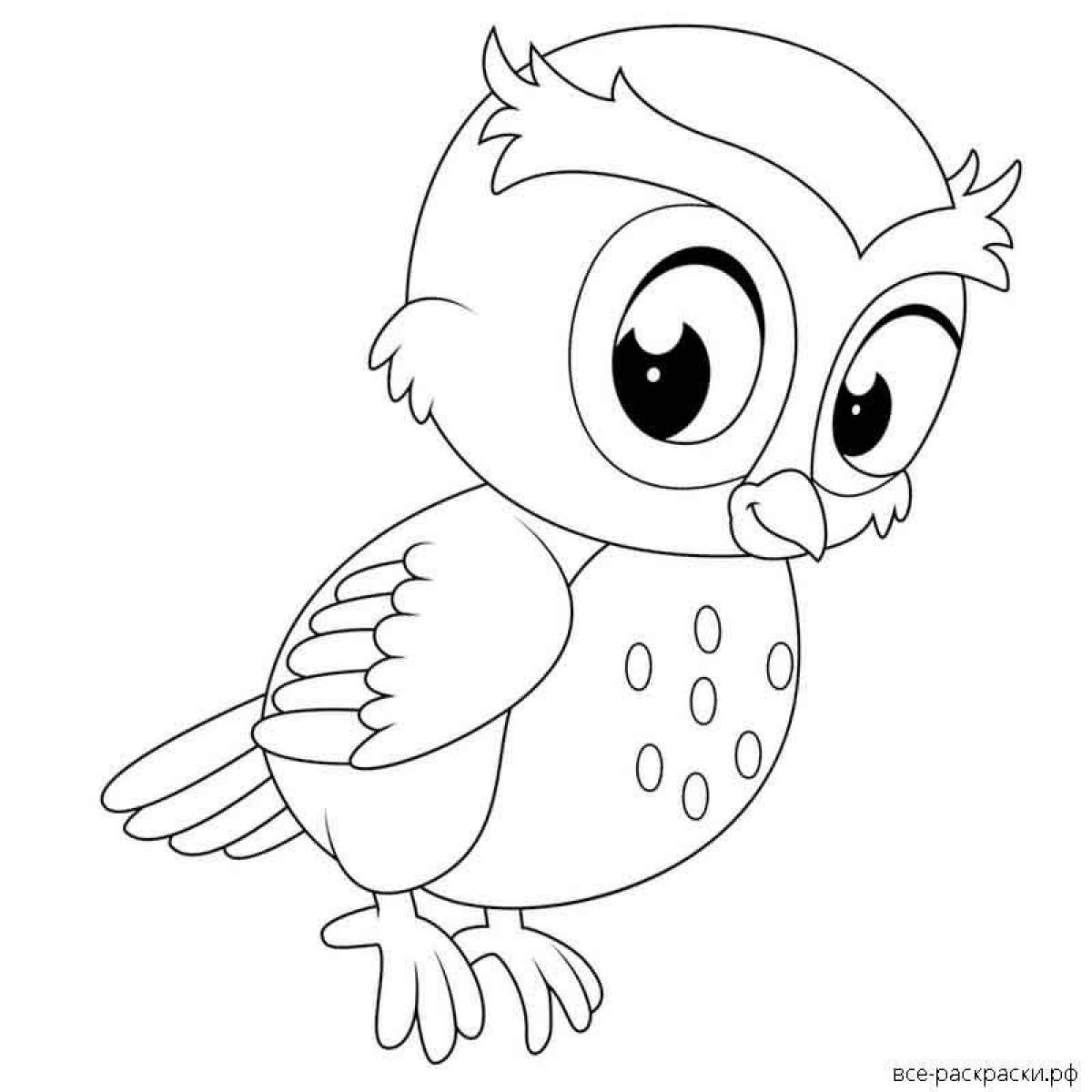 Playful owl coloring book