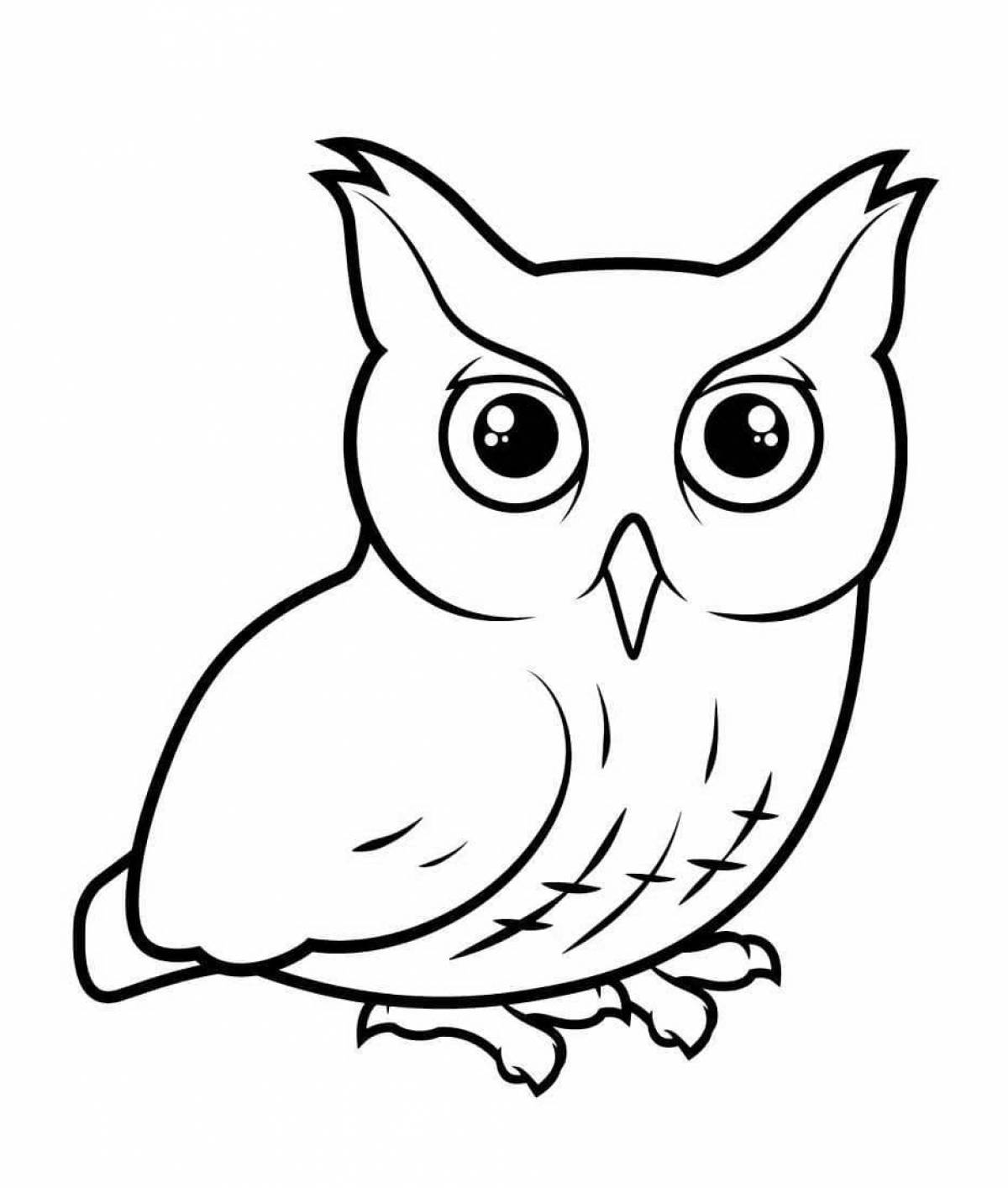 Bright owl coloring book
