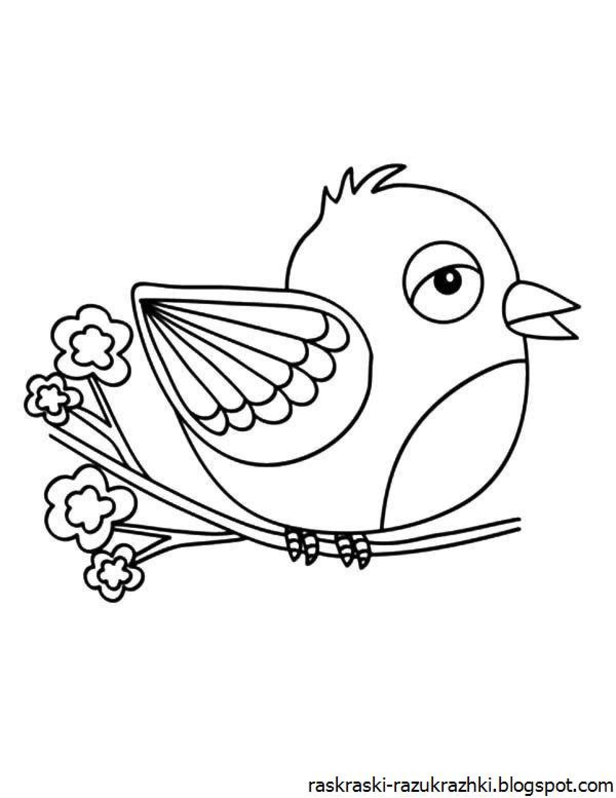 Exquisite bird coloring book for kids