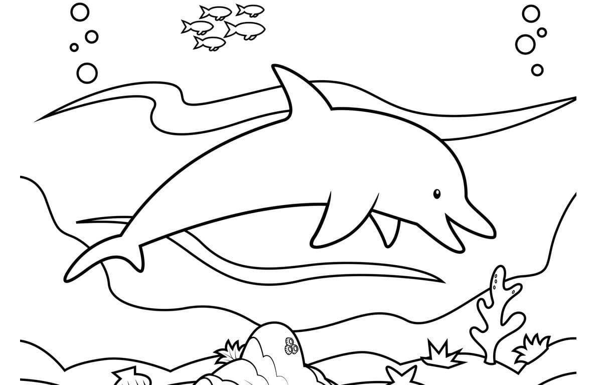 Юмористическая раскраска дельфинов для детей