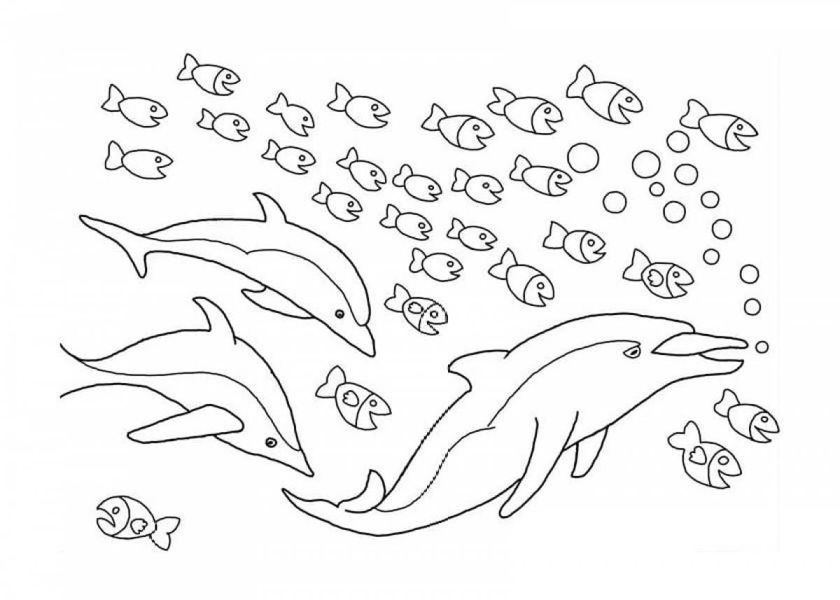Live coloring of dolphins for children