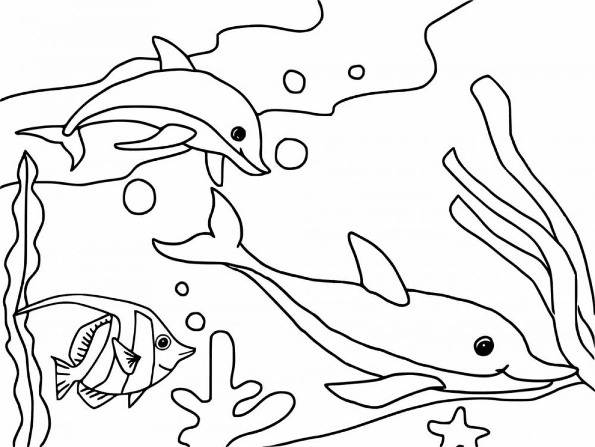 Coloring book shining dolphin for kids