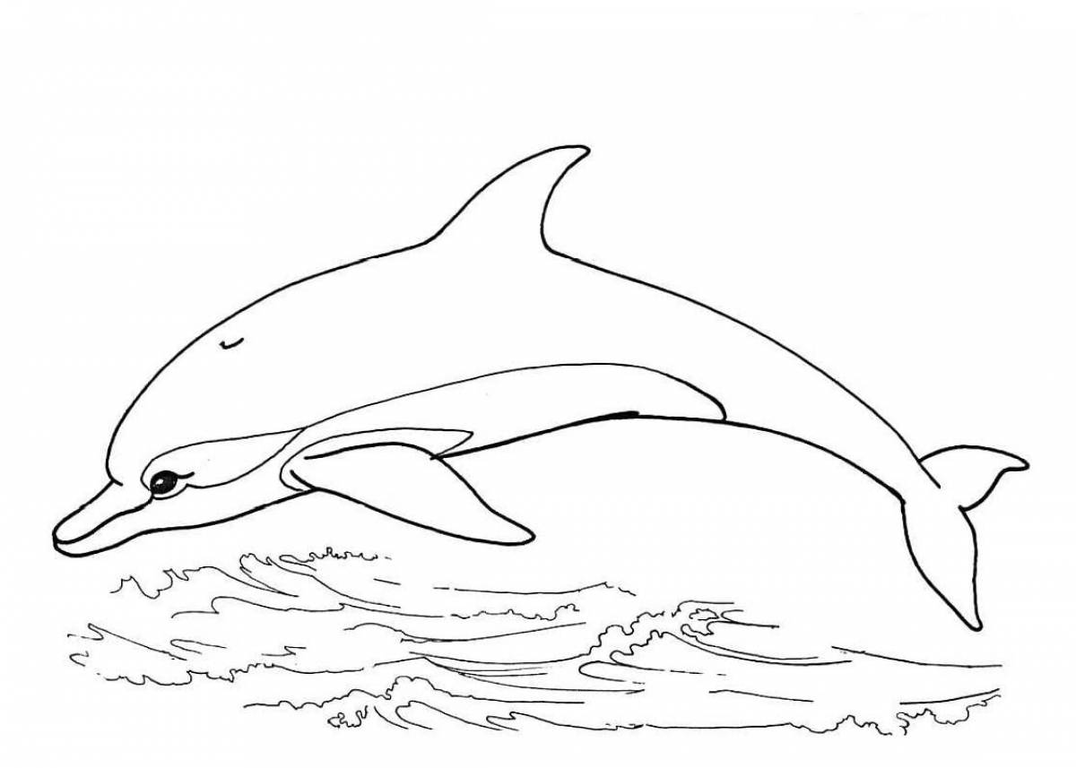 Раскраска сверкающий дельфин для детей