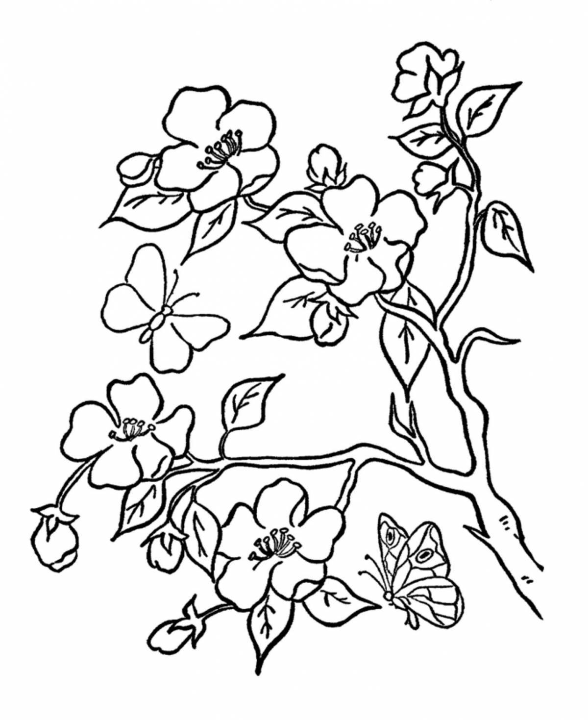 Refreshing sakura coloring page